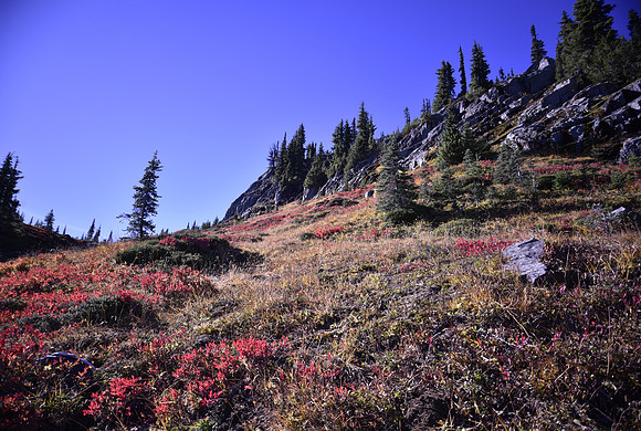 Naches loop Fall colors