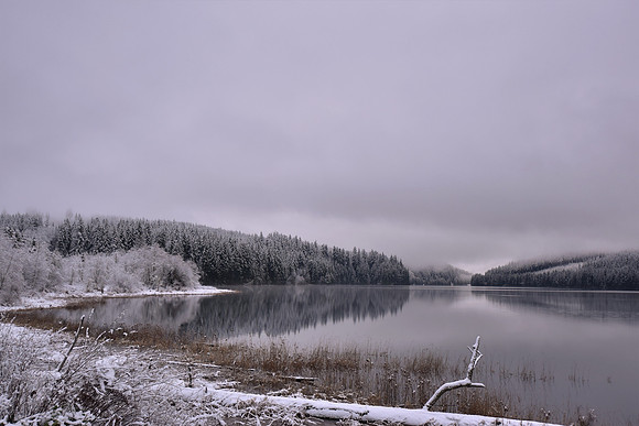 Lake Chaplain