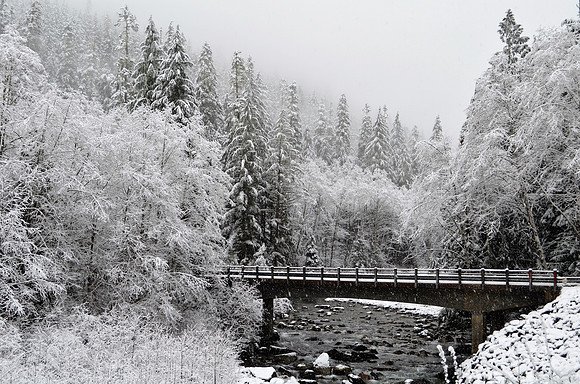 South Fork Bridge Spada Lake