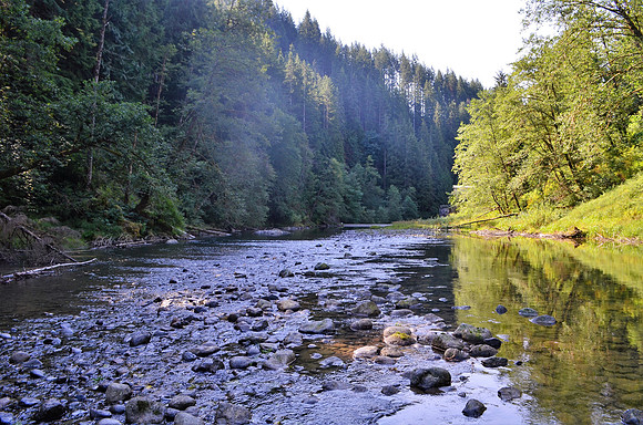 Sultan River MP 6