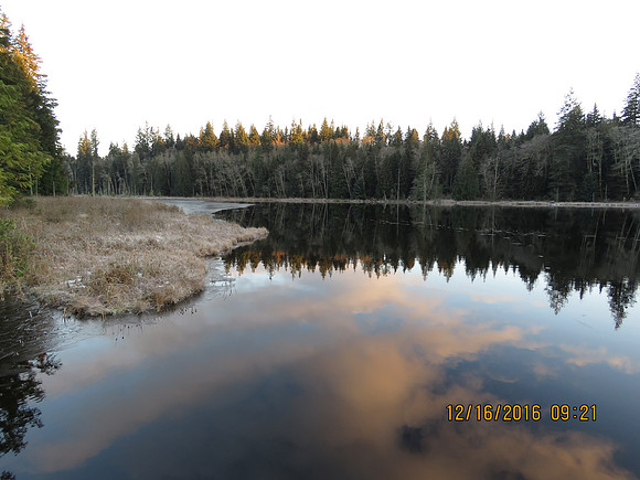 Lost lake