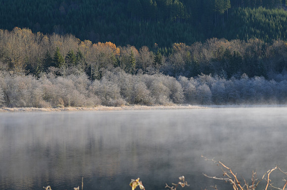 Frosty Morn