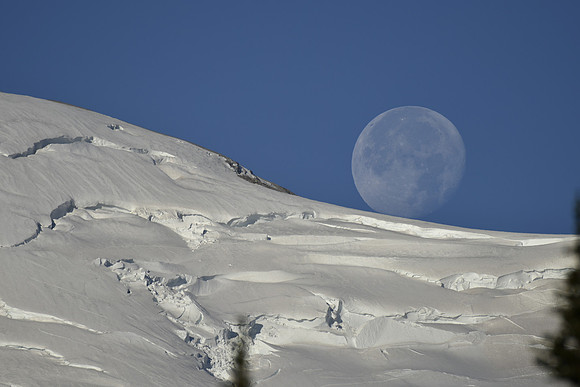 Moon has Landed