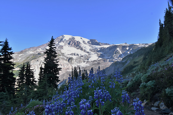250 Moraine Trail