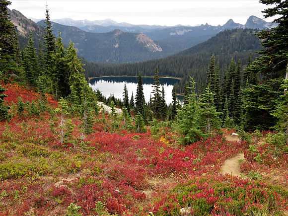 Dewey Lake 308