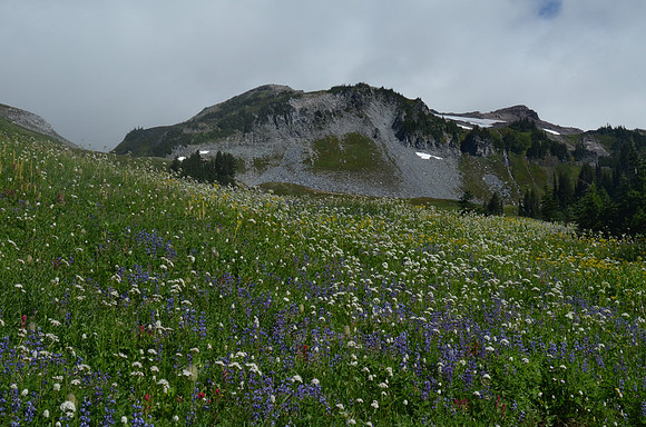 Edith basin