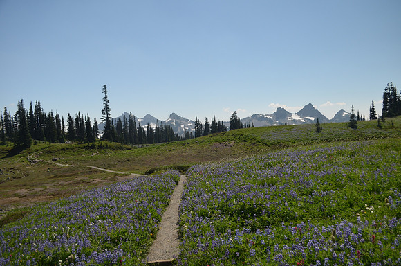 Mazama 101
