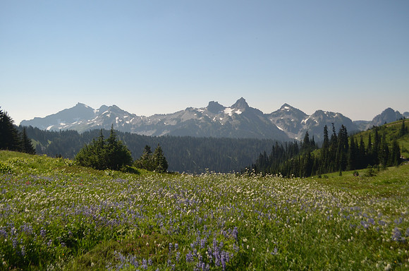 Mazama Ridge 029