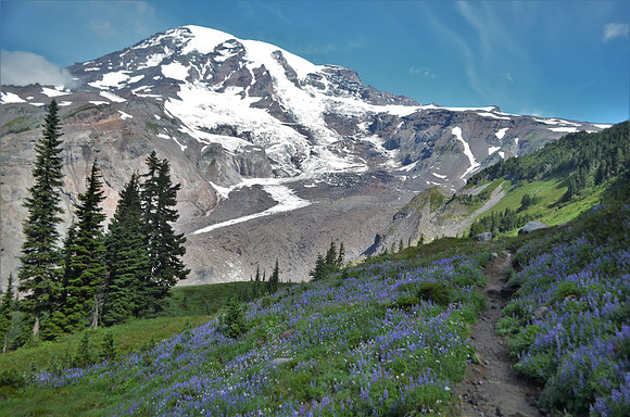 Mount Rainier 144