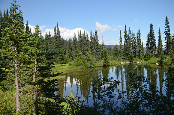 Mazama Ridge Trail 181