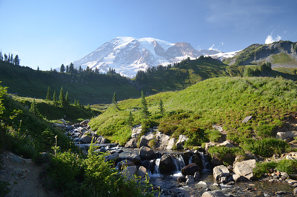 Myrtle Falls trail 88
