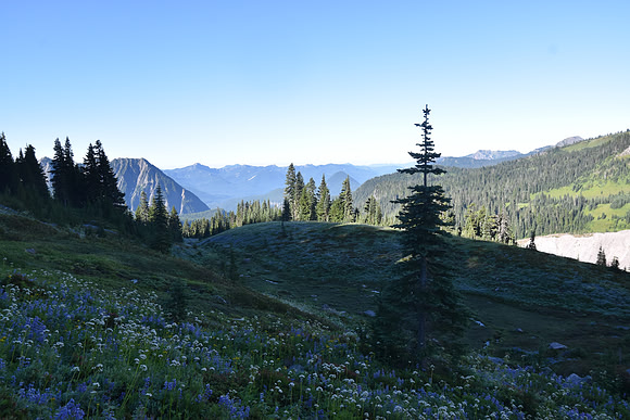 Skyline Trail 5
