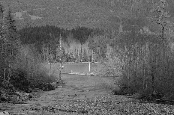Sultan River entering Spada Lake