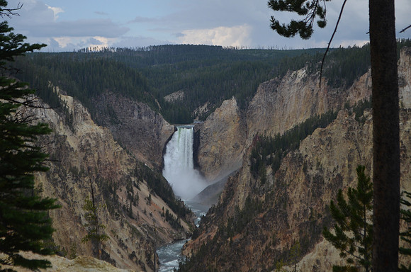 Yellowstone falls