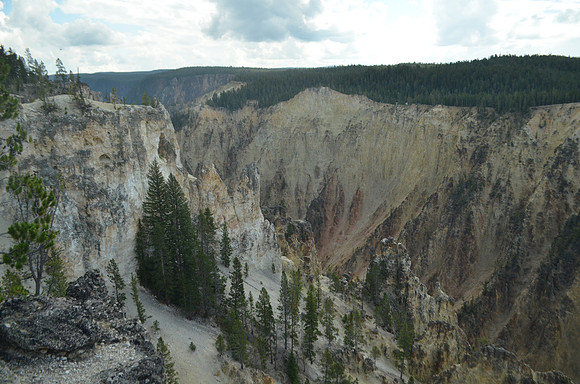 Yellowstone landscape