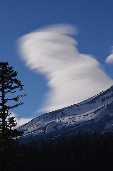 Lenticular Stack