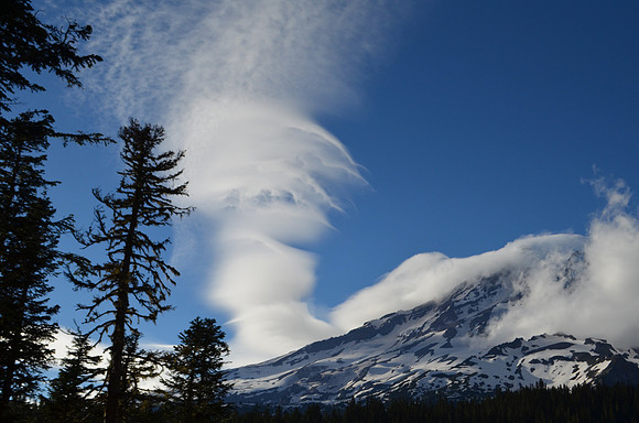 Lenticula 4