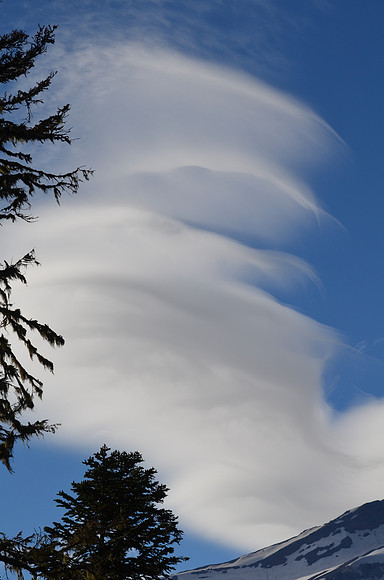 Lenticular Tower