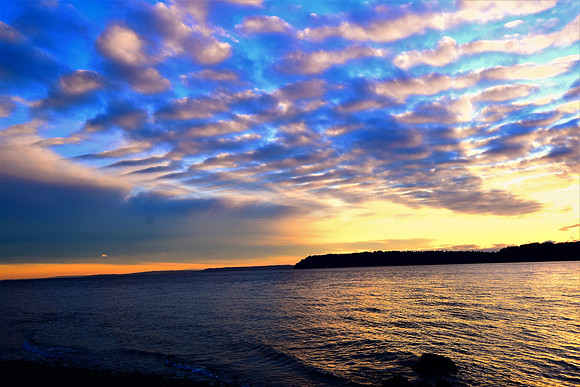 Salish seascapes 1327