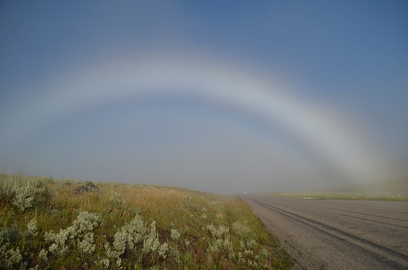 Sun halo