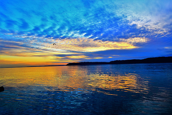12700 sunset