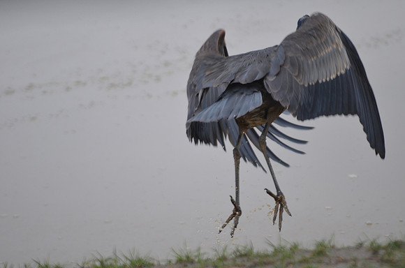 We have Takeoff