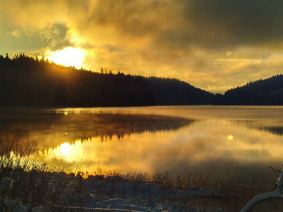 Golden Sunrise