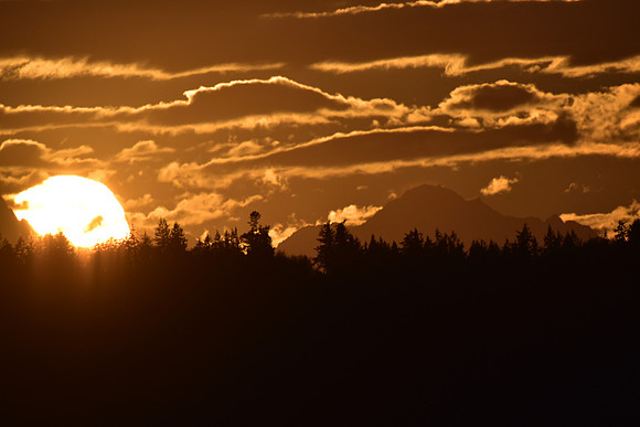 Sun's Eye