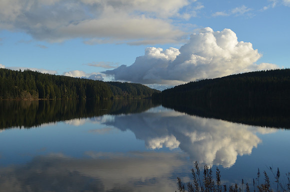 Cumulus Cloud