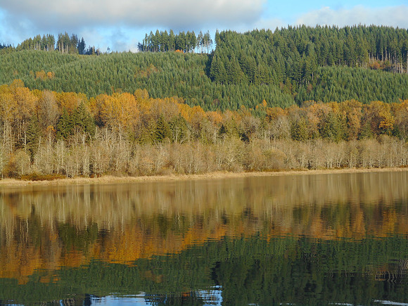 Fall Reflection