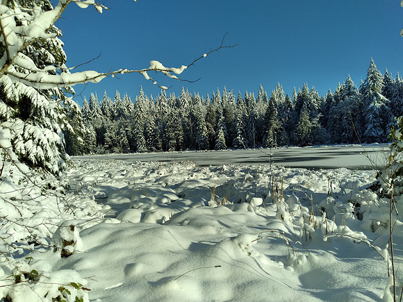 Frozen lost Lake