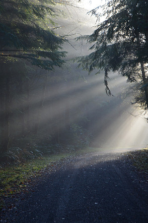 Sun rays
