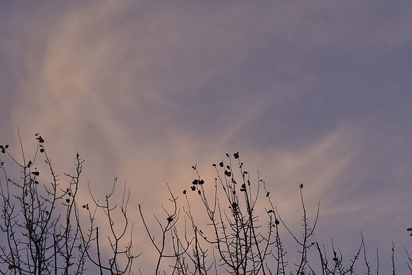 updraft