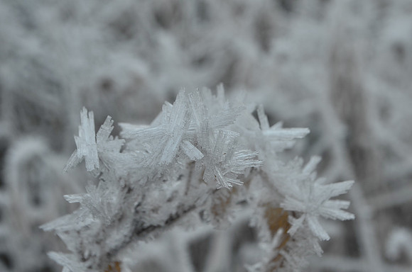 ice crystal 004
