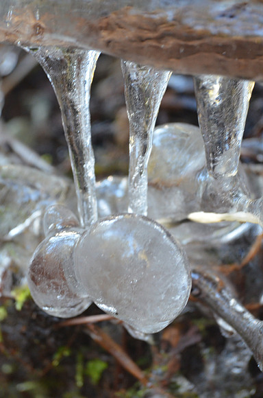 ice  065