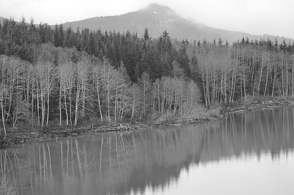 Williamson Creek 63