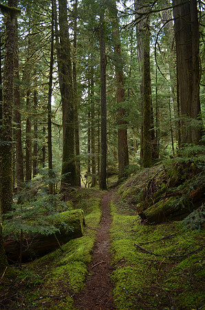 Eastside Trail