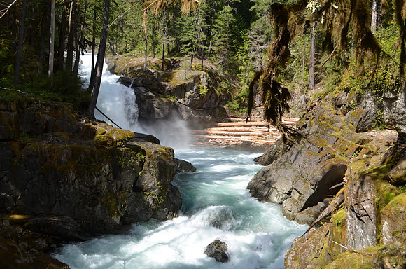 Silver Falls 33