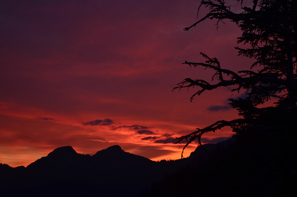 Mt Sunset 401