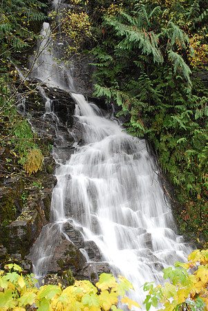 Bear Creek