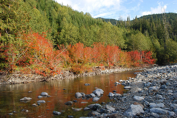 ELK CREEK AREA