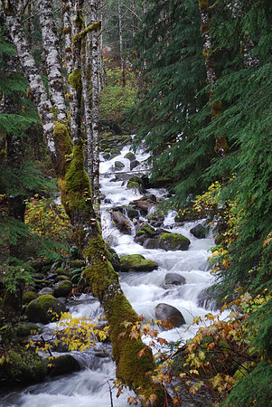 Greider Creek 887