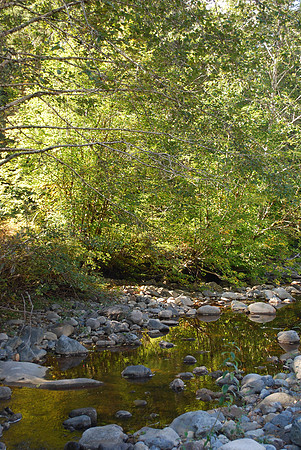 ELK CREEK POOLS