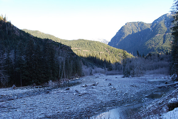 Greider Flats Feb. 2010