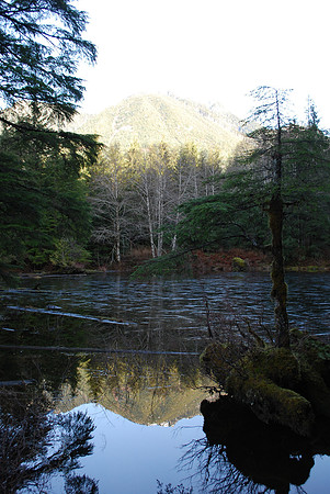 Greider ponds 202