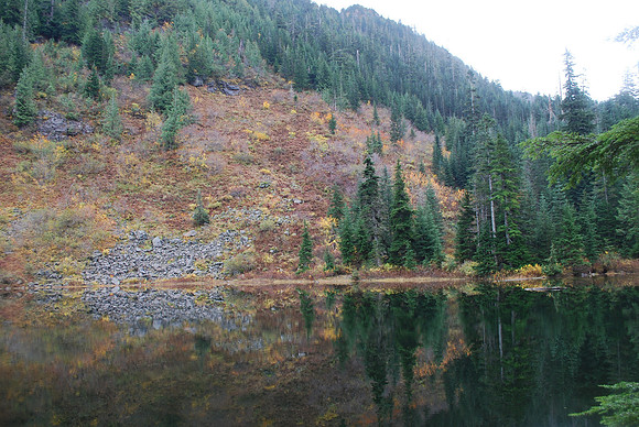 Greider ponds in fall
