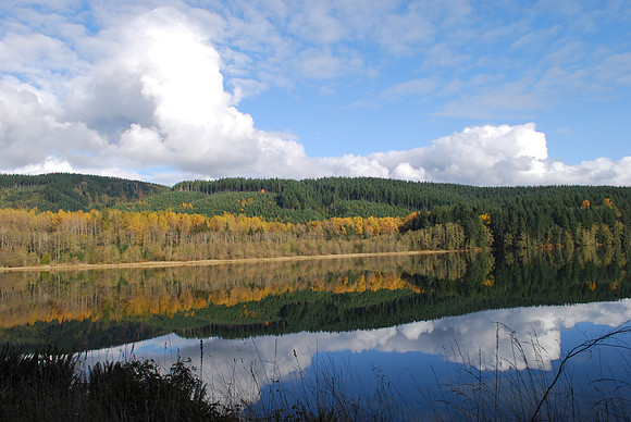Lake Chaplain 90