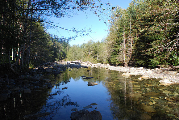 South Fork of Sultan 6
