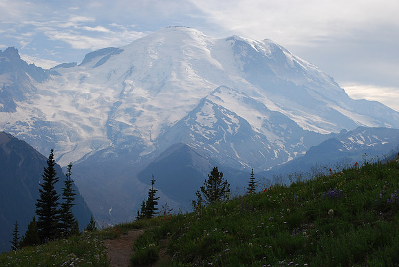 Mount Rainier 446