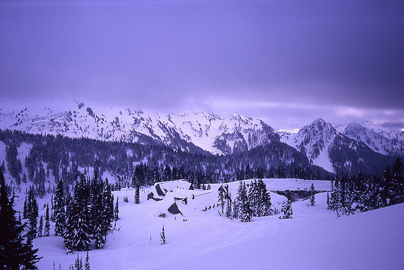 Paradise Inn winter